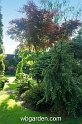 wbgarden spring 44